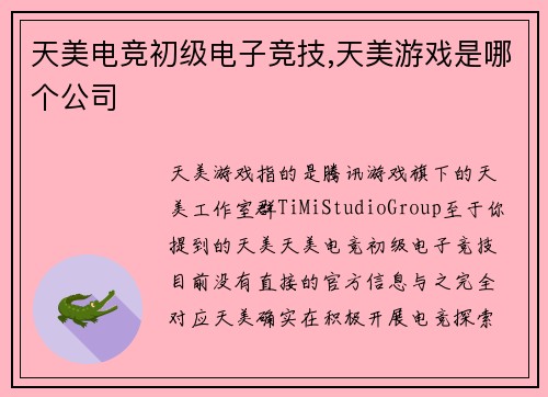 天美电竞初级电子竞技,天美游戏是哪个公司